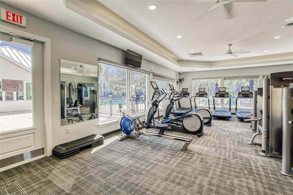12358 Streambed Drive Riverview, FL 33579 - Photo 47 of 68