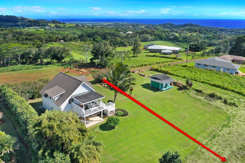 a view of a city with lush green space