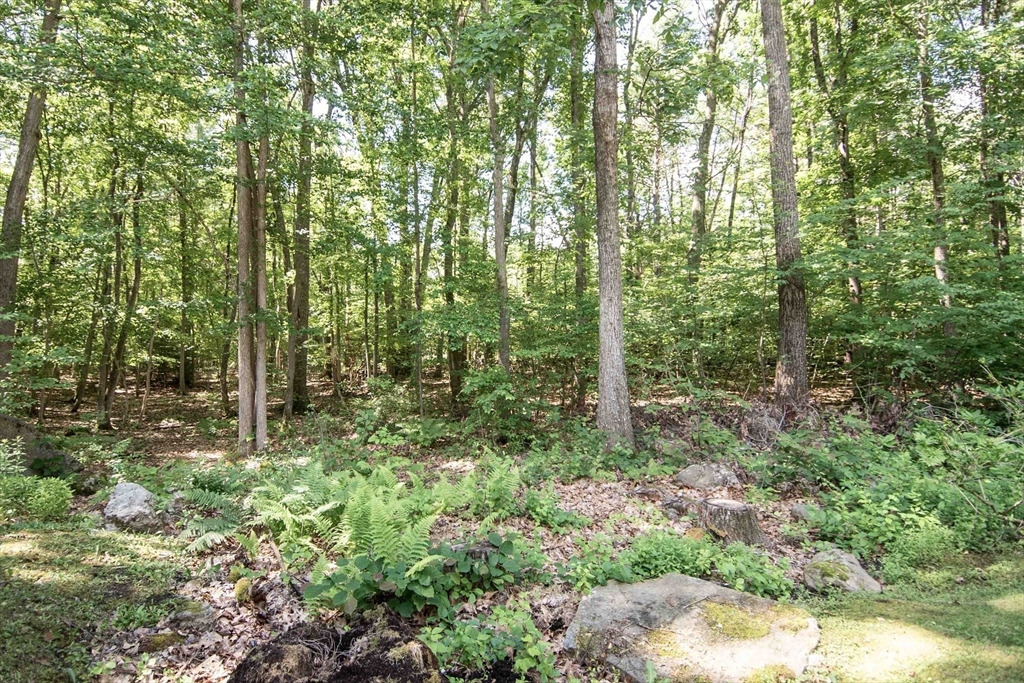 80 Lyman Road Northfield, MA 01360 - Photo 7 of 42