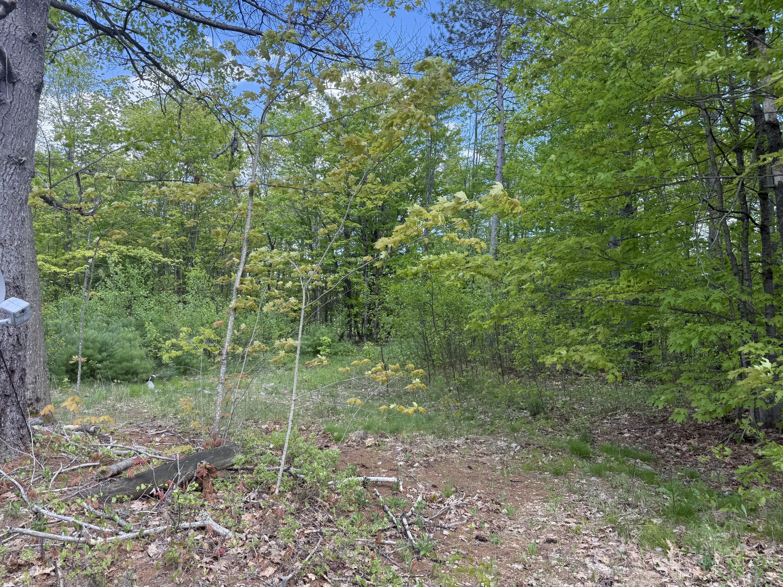 190 Barker Road Bethel, ME 04217 - Photo 2 of 11 IMG_3897