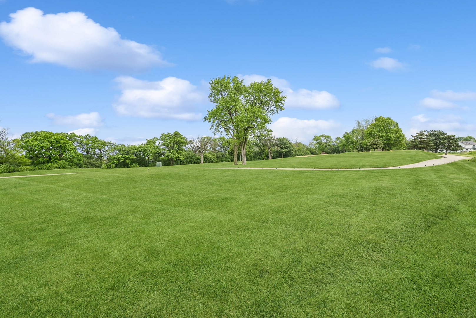 9 Willowcrest Drive, Unit 9 Oak Brook, IL 60523 - Photo 33 of 37 a view of a big yard with plants and large trees