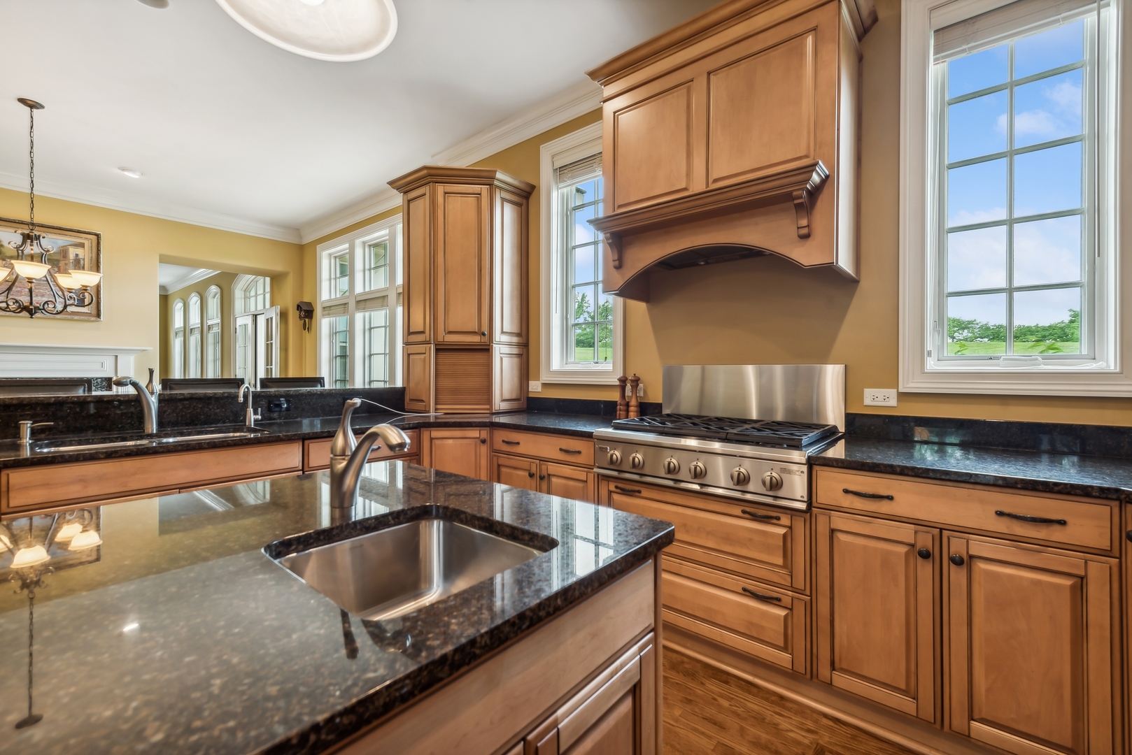 9 Willowcrest Drive, Unit 9 Oak Brook, IL 60523 - Photo 7 of 37 a kitchen with granite countertop a sink a counter top space and cabinets