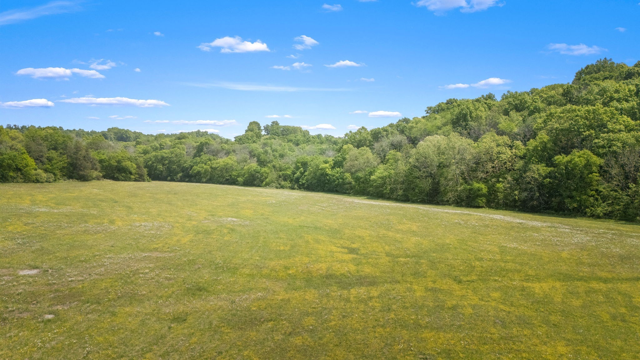 50 Bill Edde Road Belvidere, TN 37306 - Photo 5 of 63