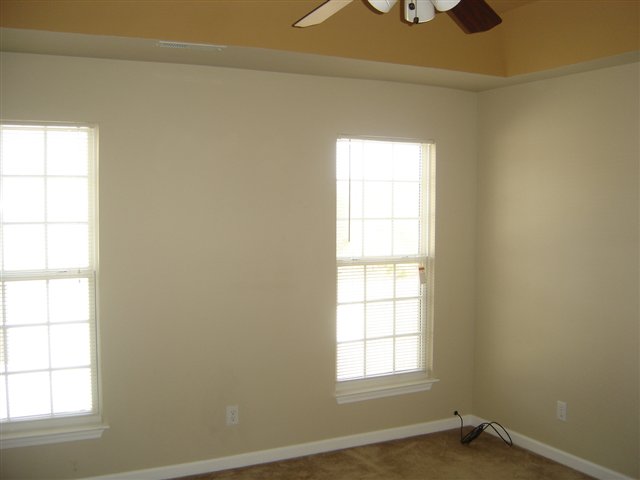 52 Spring Crossing Circle Greer, SC 29650 - Photo 9 of 11