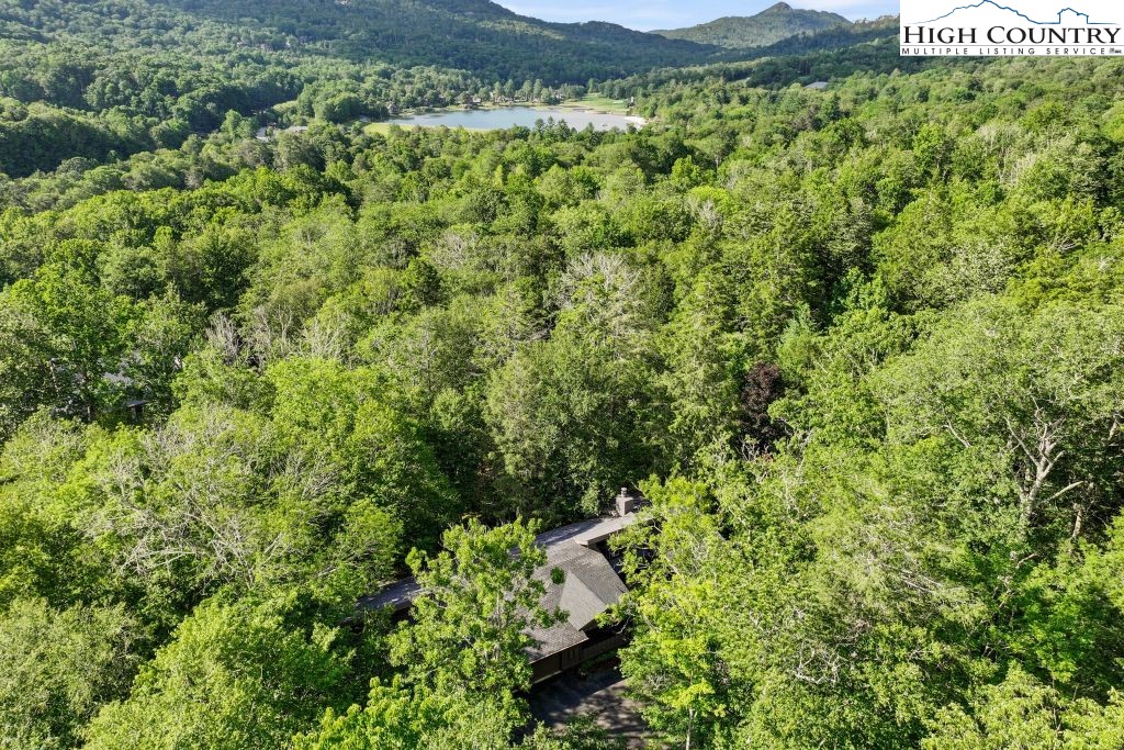 1325 Golf Course Road Linville, NC 28646 - Photo 2 of 46 a view of a lush green forest with a house