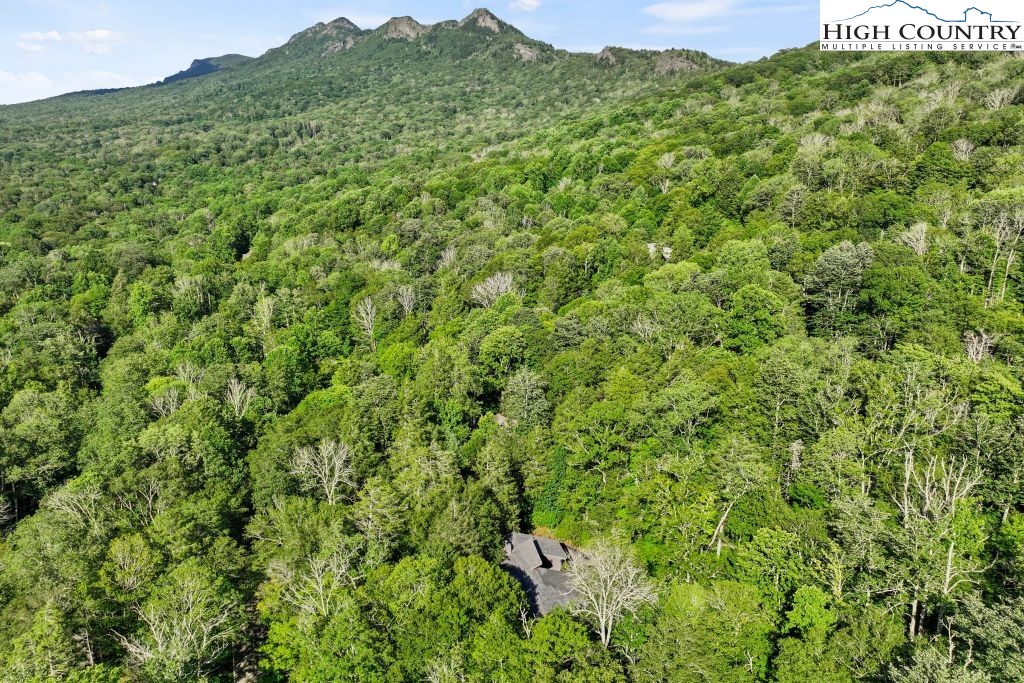 1325 Golf Course Road Linville, NC 28646 - Photo 3 of 46 a view of a lush green forest with a mountain in the background