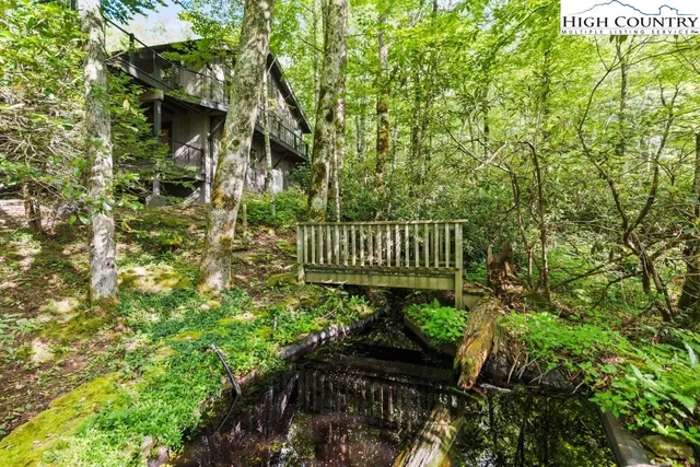 a view of a bench in the garden