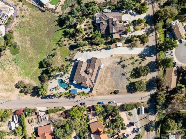 a view of a tree in the middle of a yard