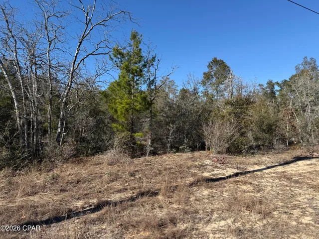 $13,500 | 0 Birwood Court, Chipley, FL 32428