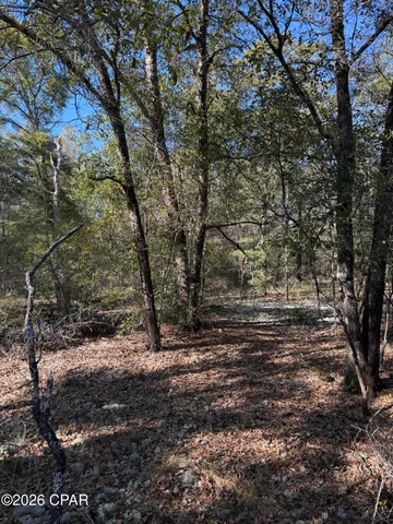 $13,500 | 0 Birwood Court, Chipley, FL 32428