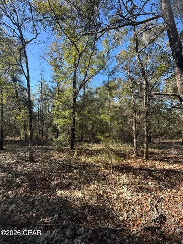 $13,500 | 0 Birwood Court, Chipley, FL 32428