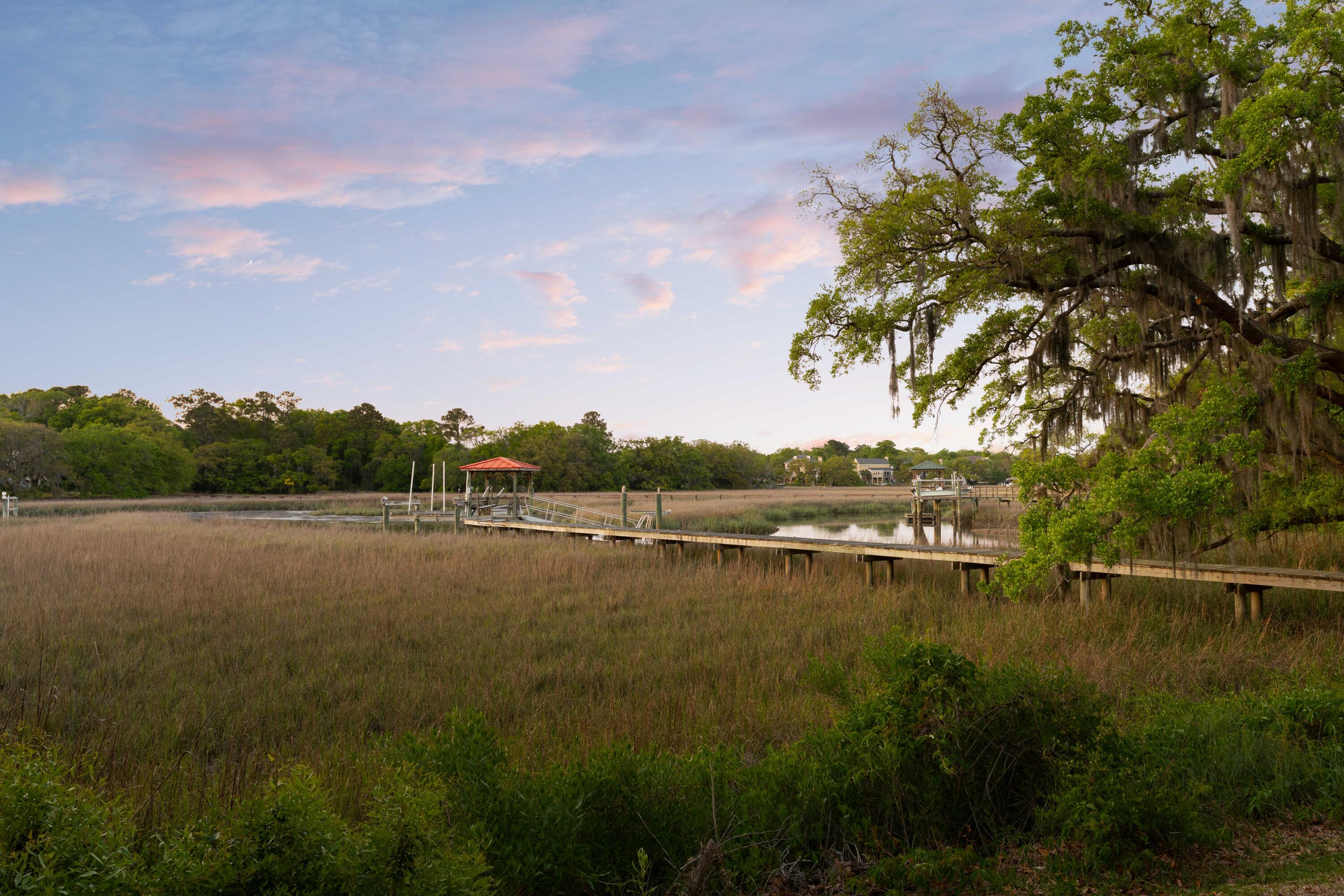 554 Parrot Point Drive Charleston, SC 29412 - Photo 3 of 85 DSC02095