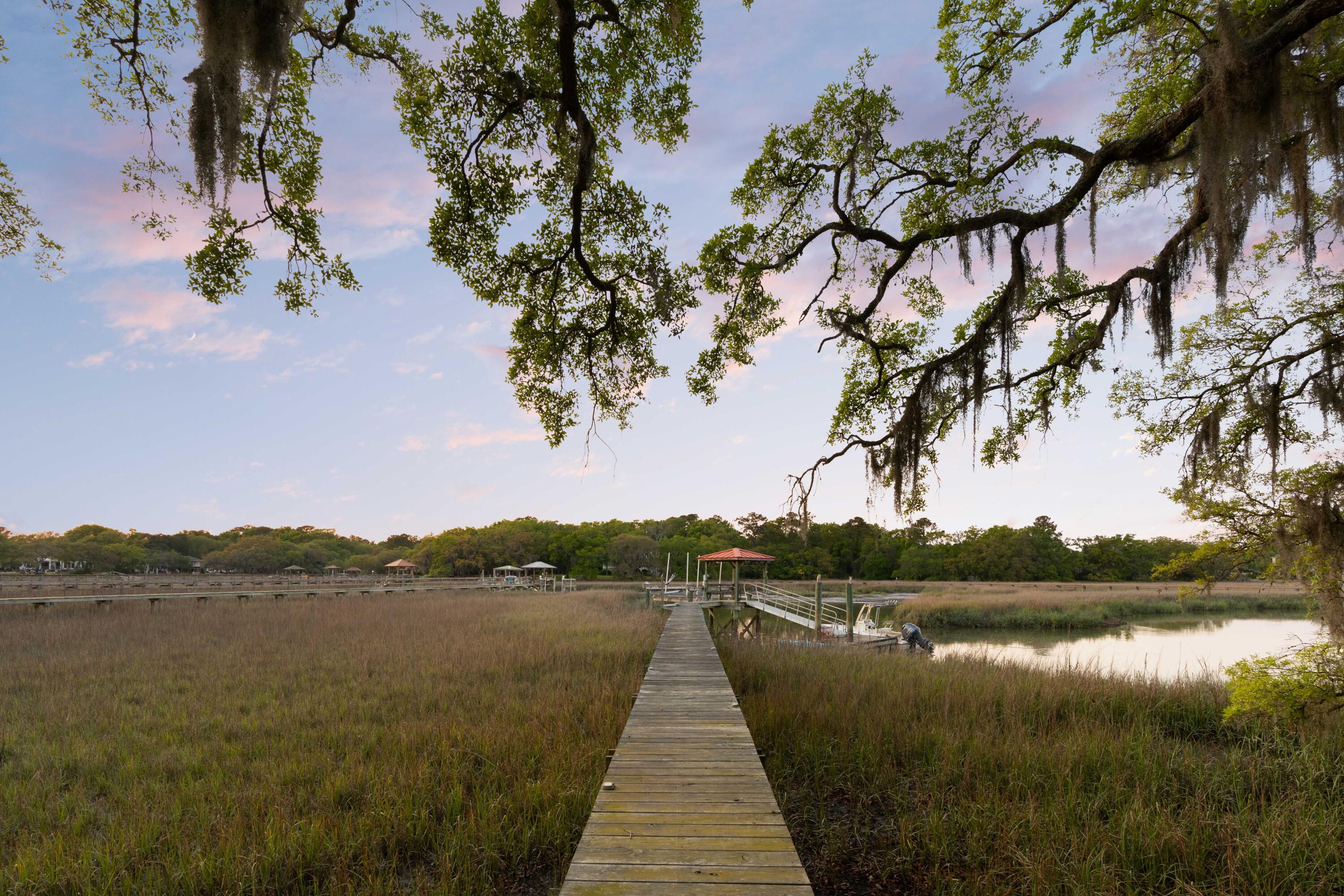 554 Parrot Point Drive Charleston, SC 29412 - Photo 4 of 85 DSC02080