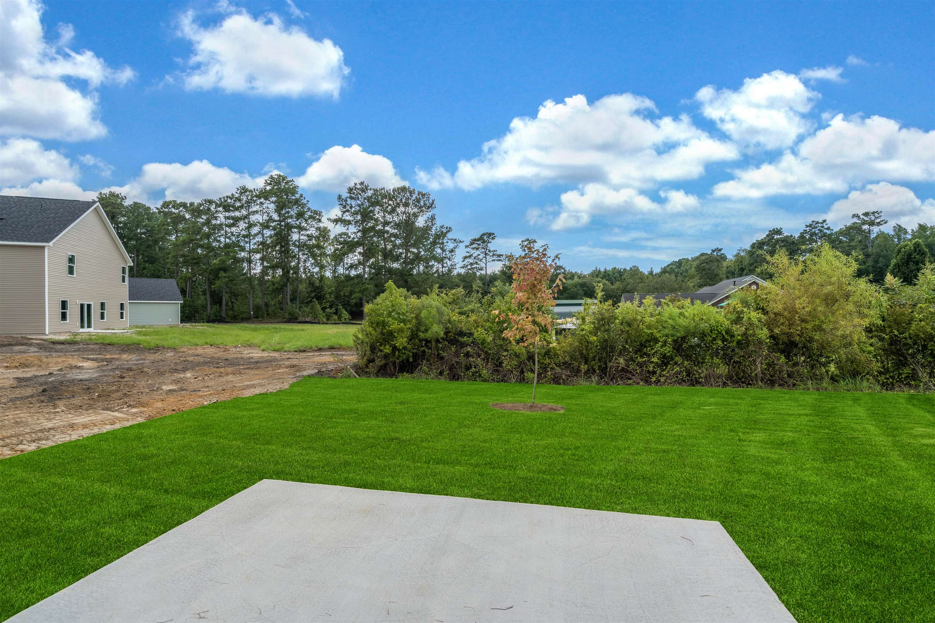 1074 Cherrystone Loop Conway, SC 29526 - Photo 5 of 52 Gallery Image 5