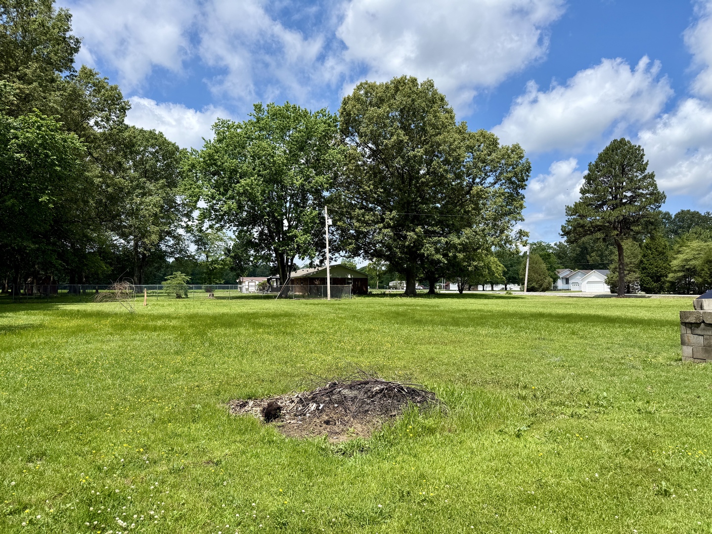 956 Country Club Road Metropolis, IL 62960 - Photo 38 of 48 a garden view