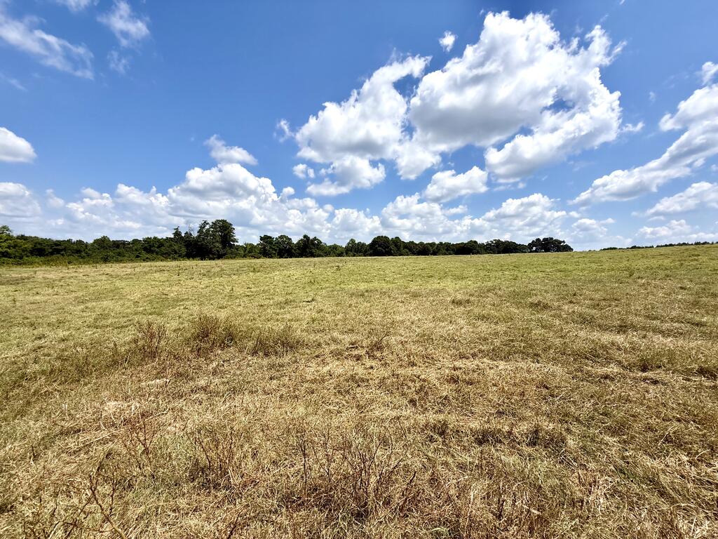 218 Chaney Branch Road Clio, AL 36017 - Photo 68 of 72 Gallery Image 68