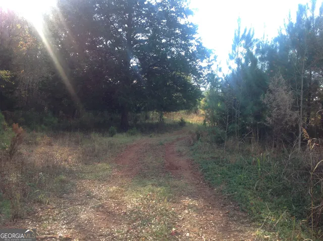 a view of outdoor space with yard and green space