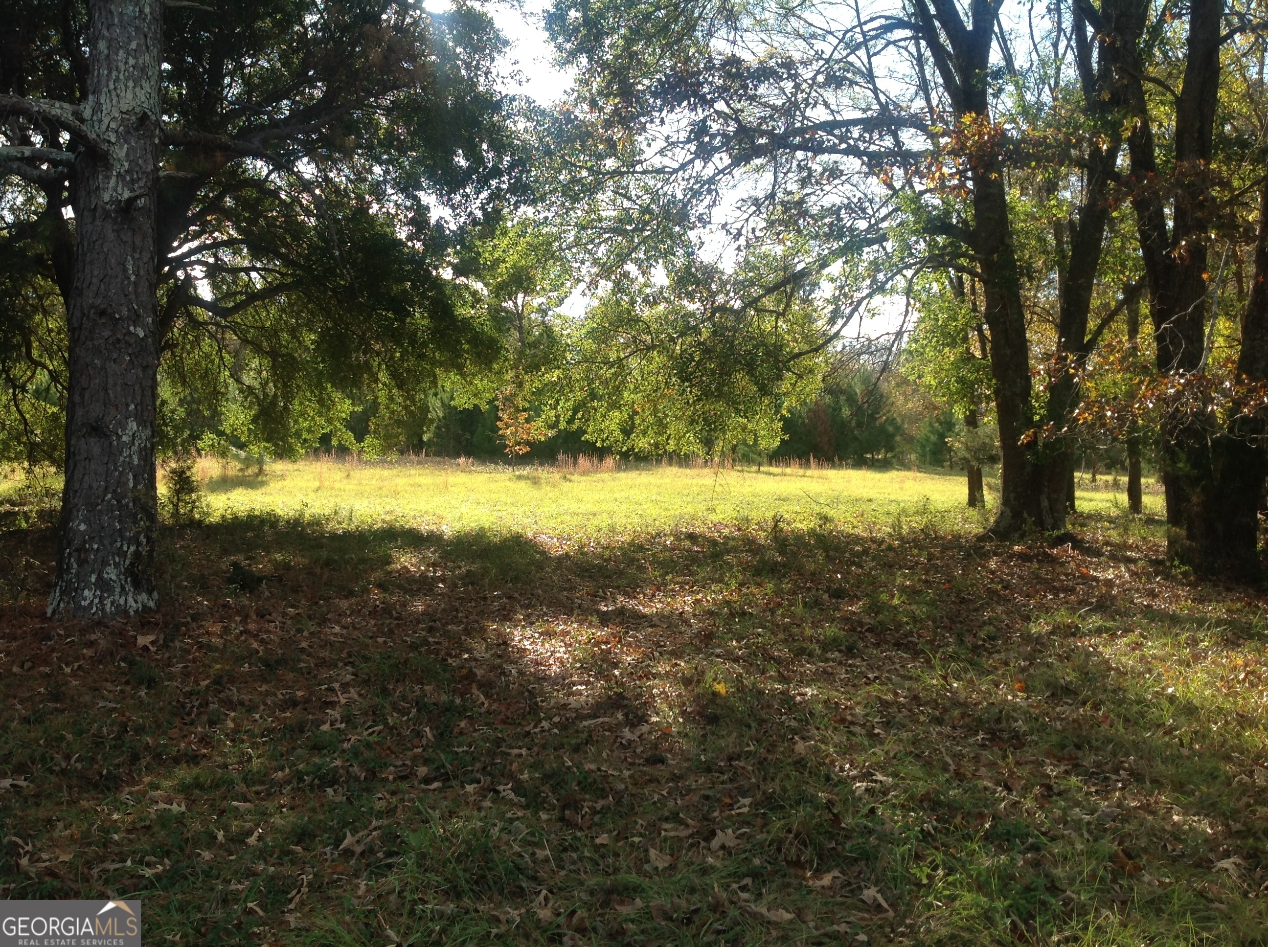 190 Weaver Road Haddock, GA 31033 - Photo 6 of 10