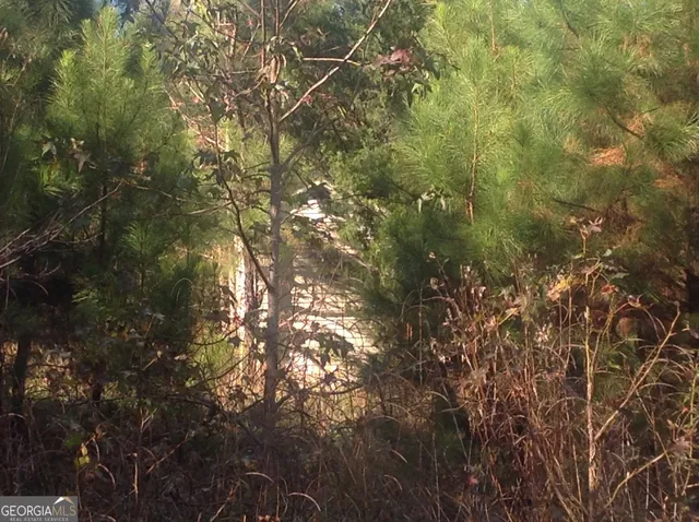 a view of a floor to ceiling window