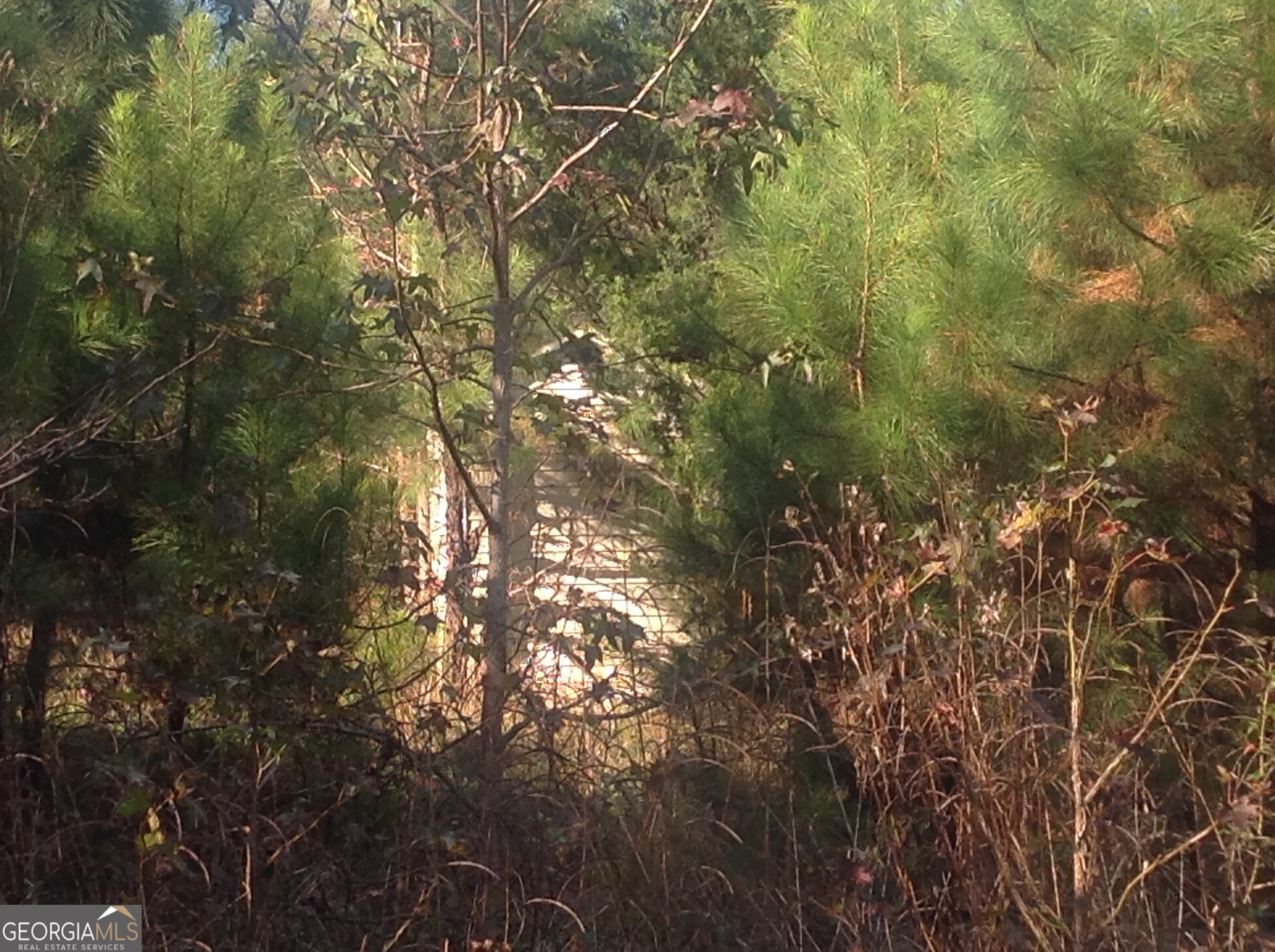 190 Weaver Road Haddock, GA 31033 - Photo 8 of 10