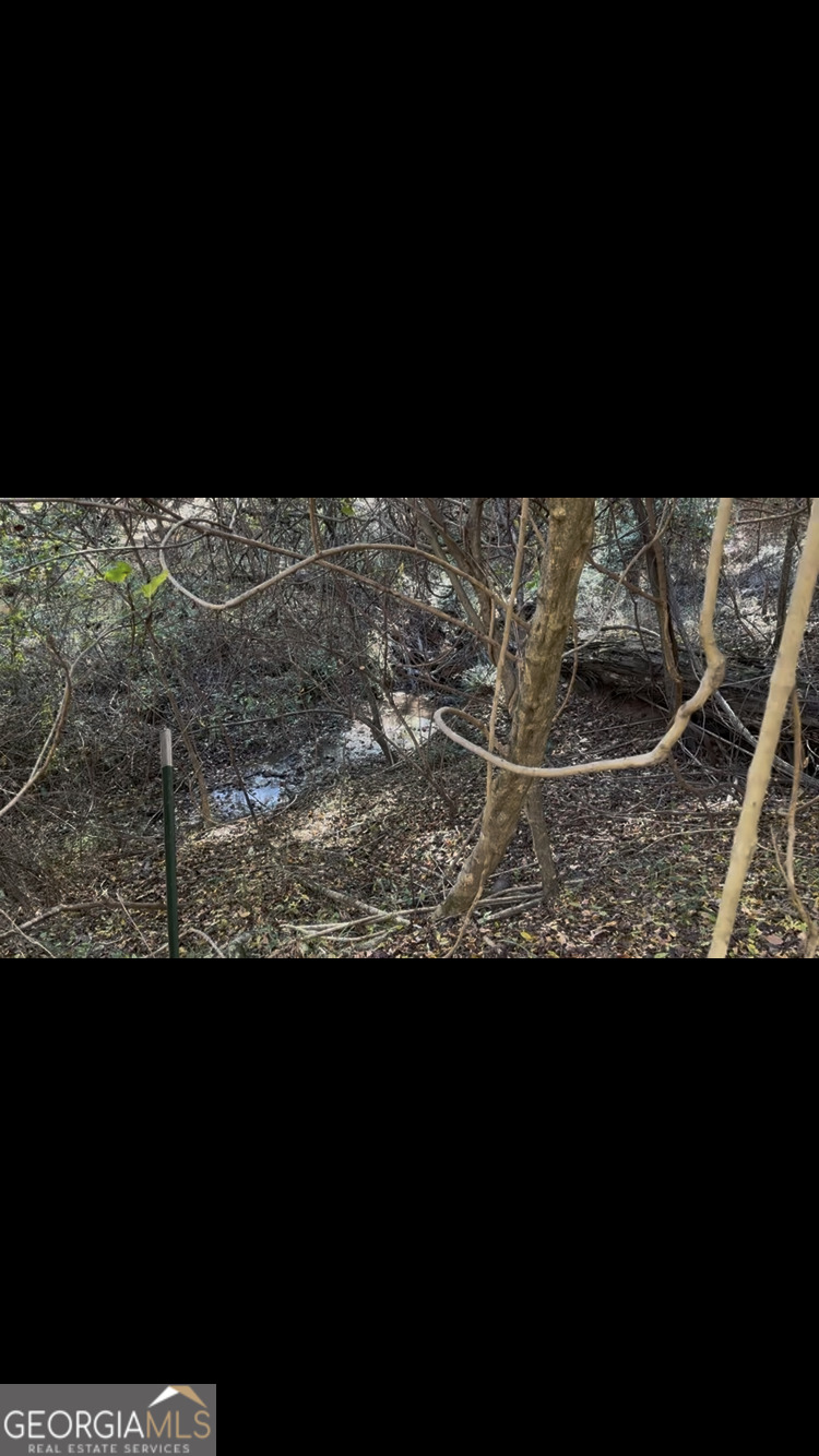 190 Weaver Road Haddock, GA 31033 - Photo 9 of 10 creek on backside of property