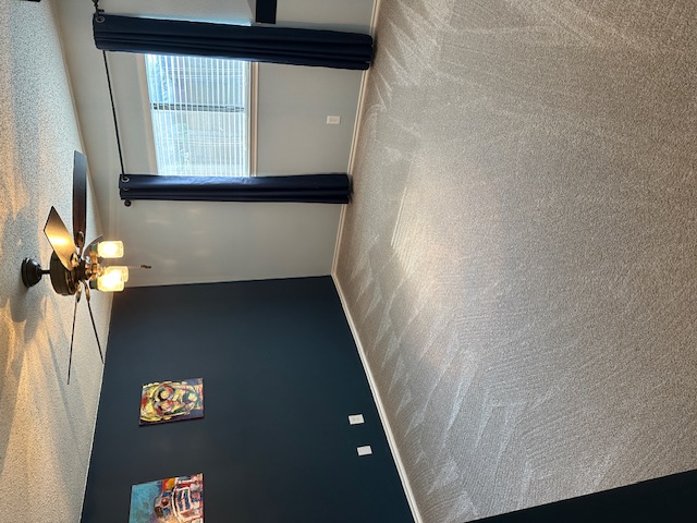 1750 Star Light Circle Cedar Park, TX 78613 - Photo 23 of 40 en empty room with windows and fan