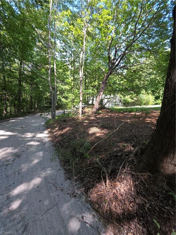 102 Hawks Road King, NC 27021 - Photo 9 of 22