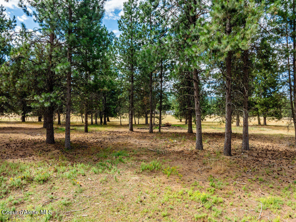 Nka East Bunco Road Athol, ID 83801 - Photo 13 of 15 041_bb193348-41_857