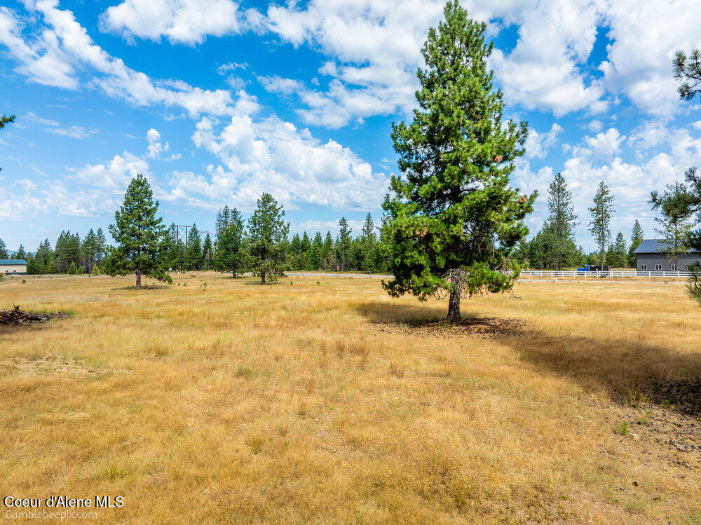 Nka East Bunco Road Athol, ID 83801 - Photo 4 of 15 040_bb193348-40_847