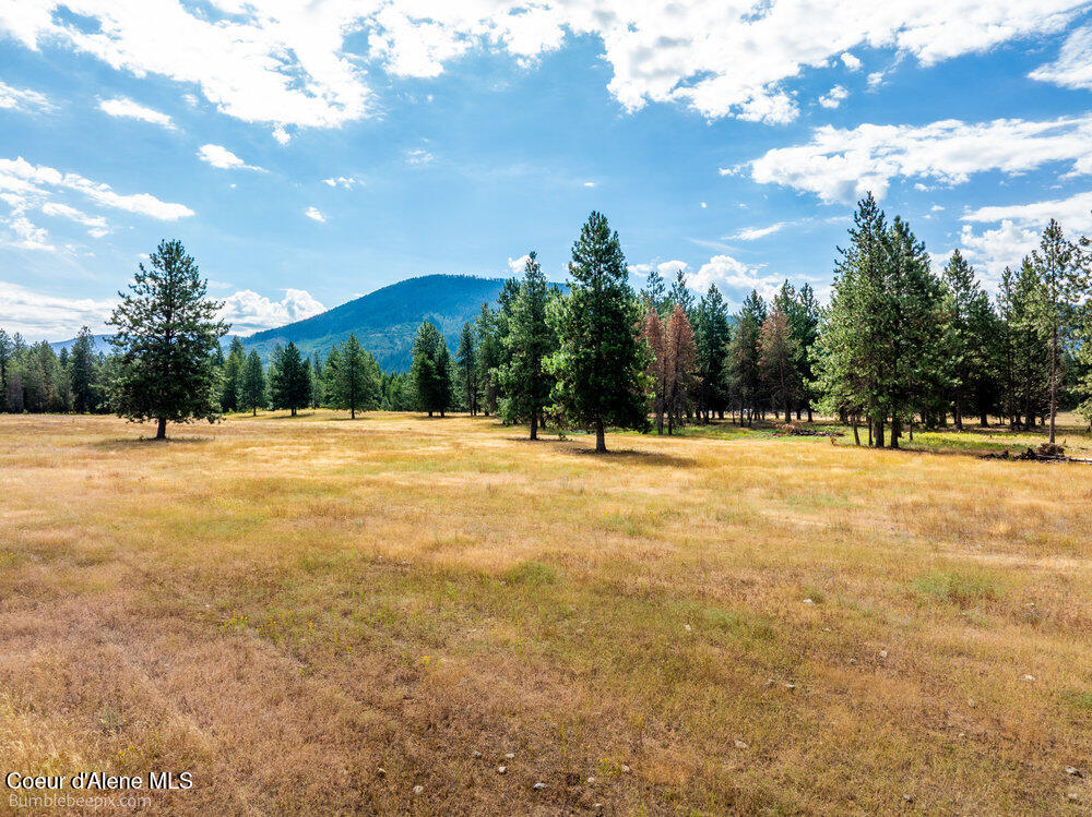 Nka East Bunco Road Athol, ID 83801 - Photo 5 of 15 044_bb193348-44_303