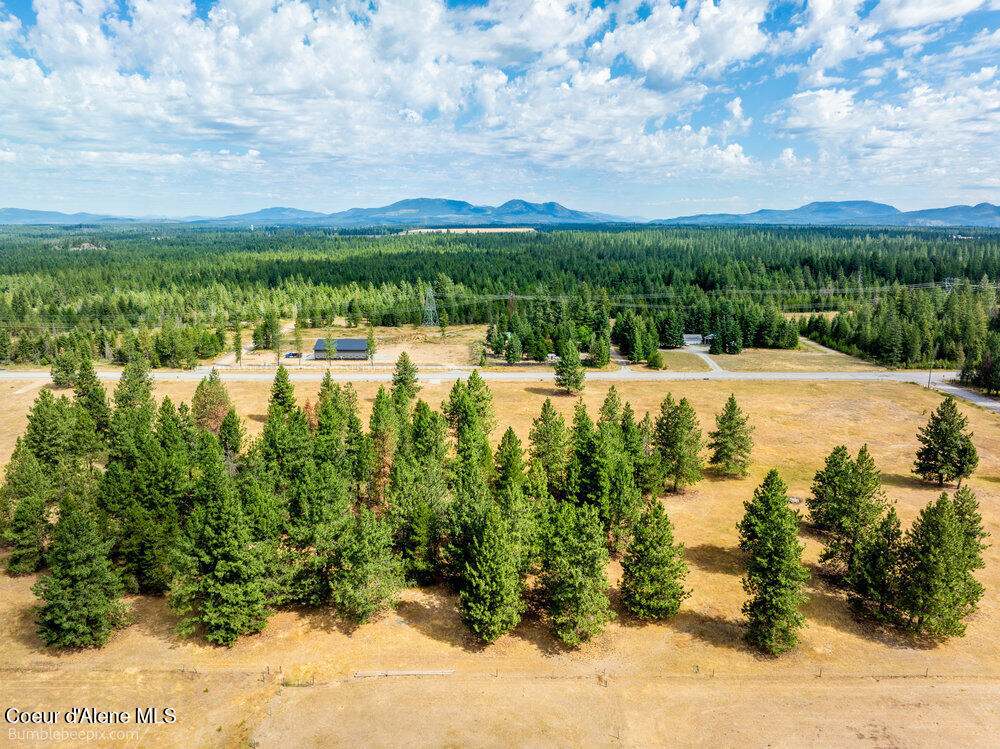 Nka East Bunco Road Athol, ID 83801 - Photo 8 of 15 008_bb193348-8_492