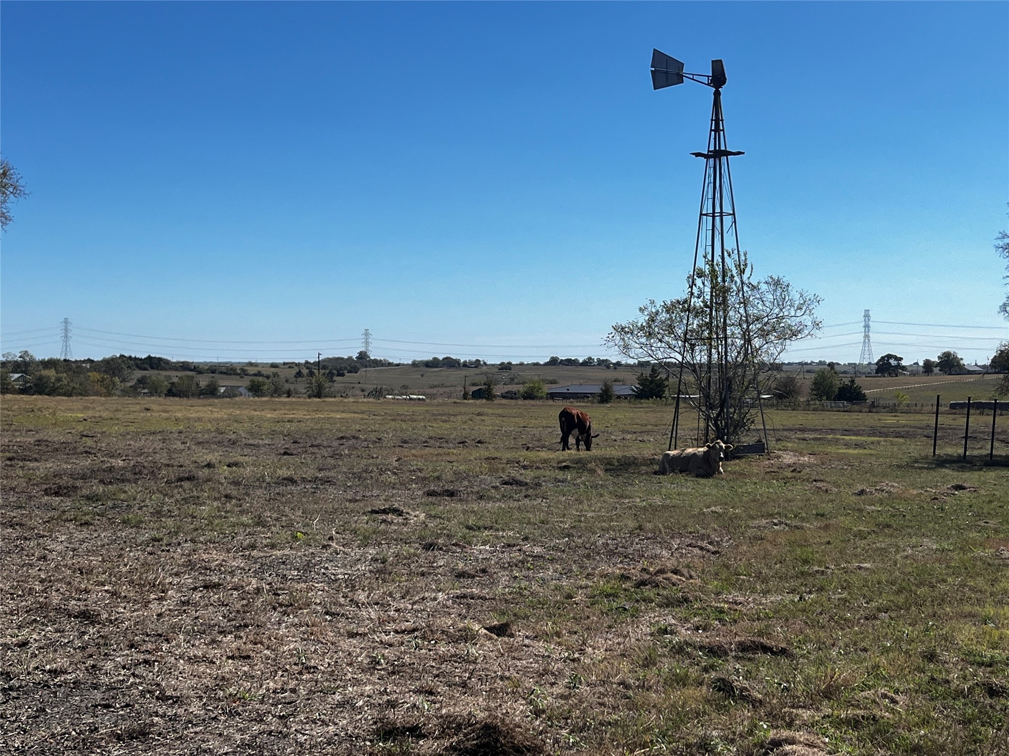1100 Swiss Alp Hills Loop Schulenburg, TX 78956 - Photo 44 of 46 a backyard of a house