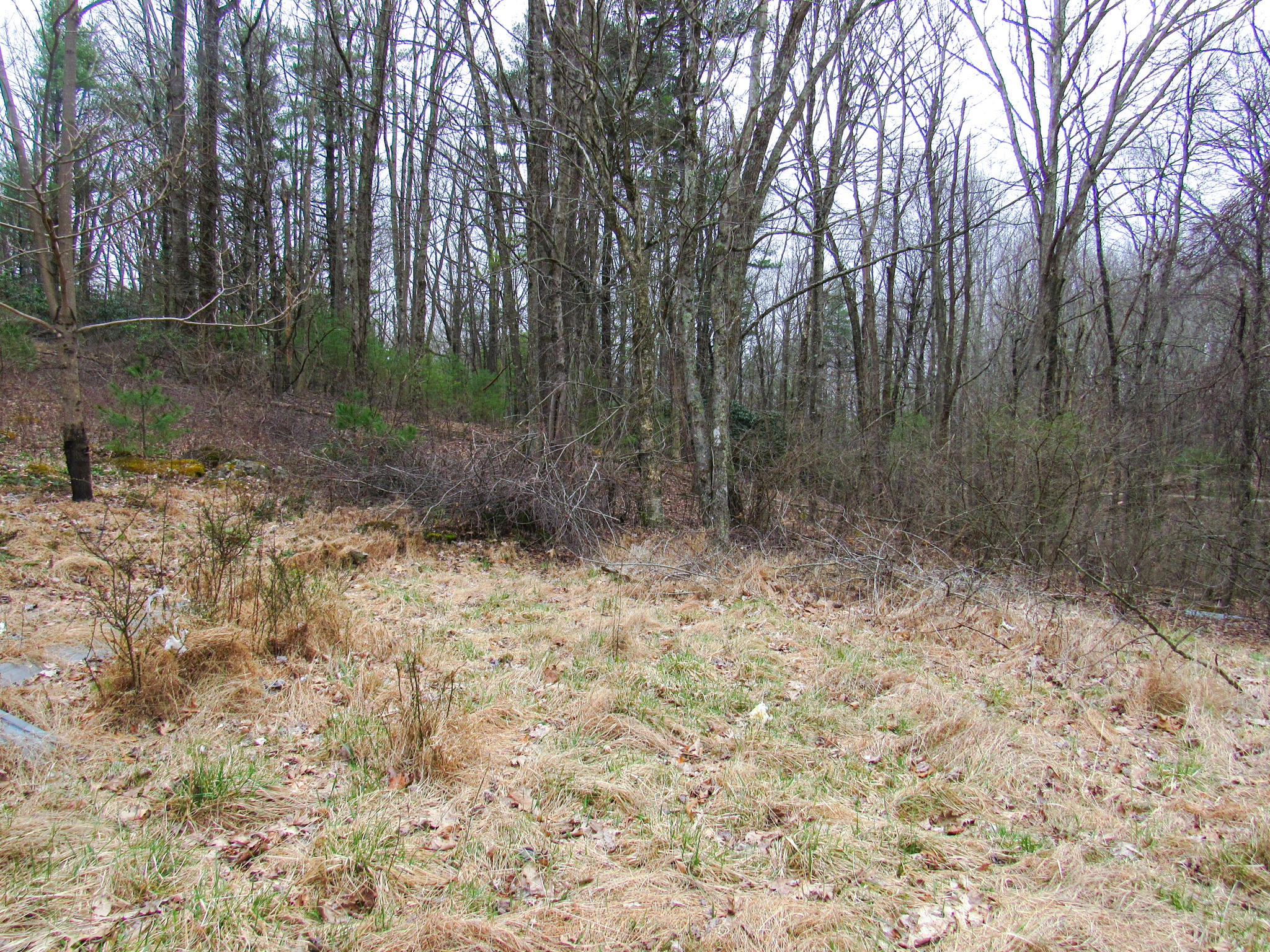 9786 Pine Forest Road Northeast Copper Hill, VA 24079 - Photo 11 of 14 IMG_1299