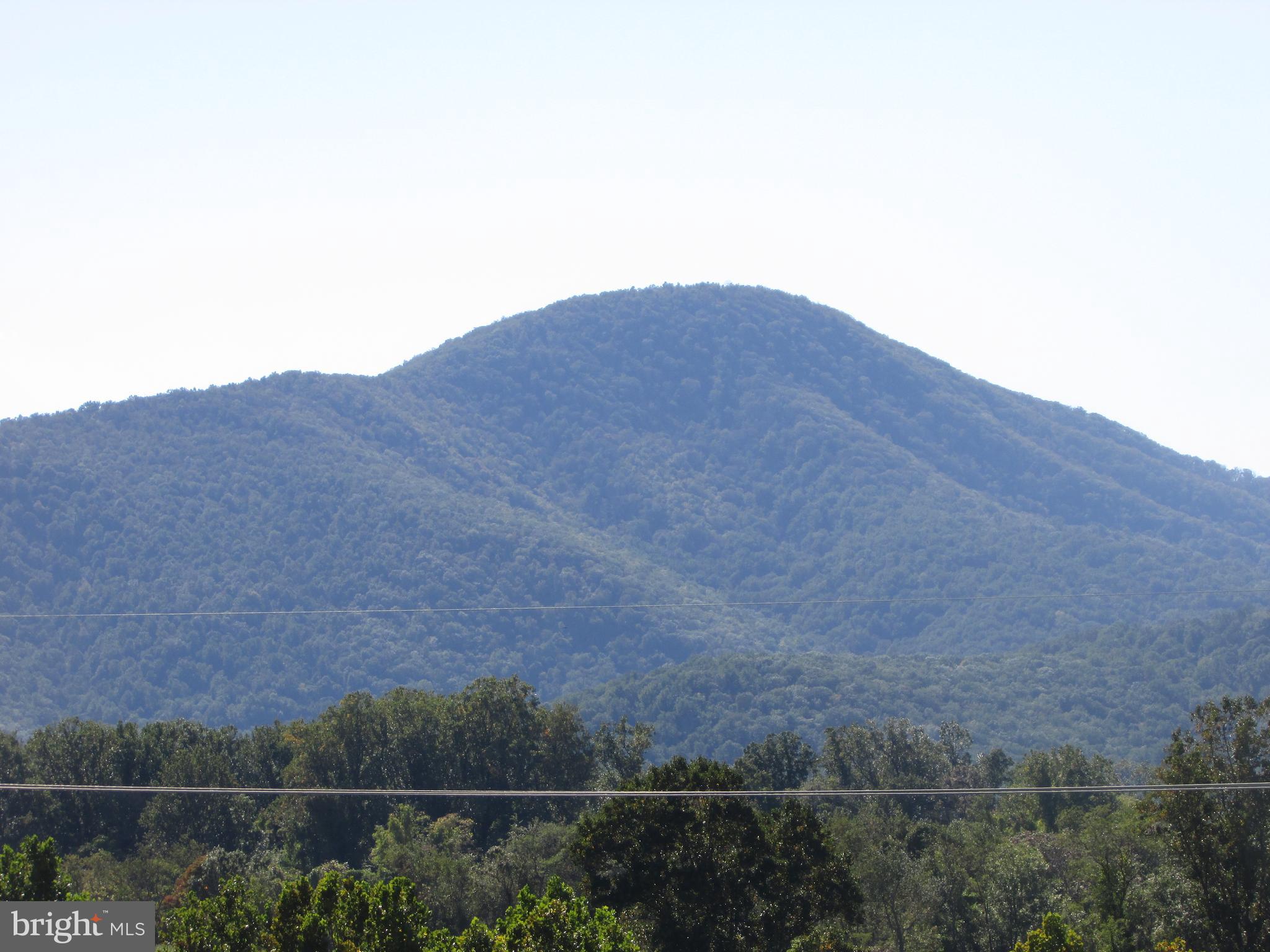 2483 Jericho Road Flint Hill, VA 22627 - Photo 3 of 49 Gallery Image 3