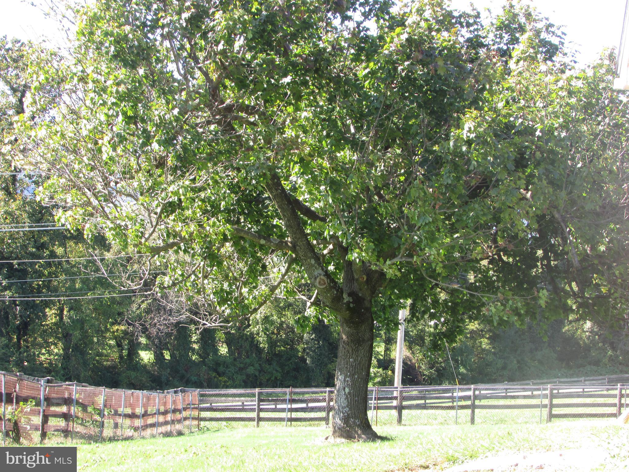 2483 Jericho Road Flint Hill, VA 22627 - Photo 4 of 49 Gallery Image 4