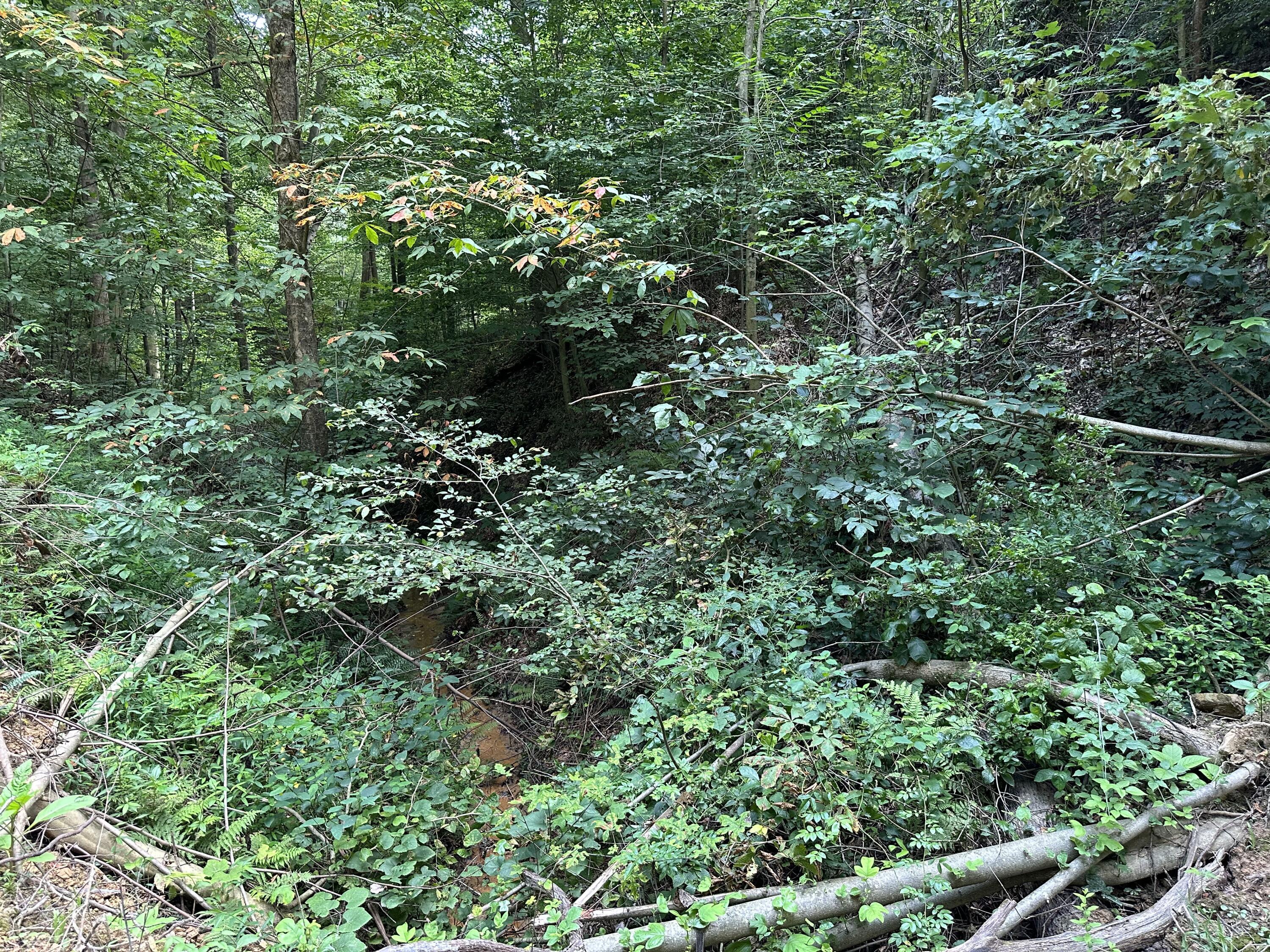 6690 Old State Road, Unit PERRY RIDGE TRACT 6) Crooksville, OH 43731 - Photo 16 of 36 20230804_211435484_iOS