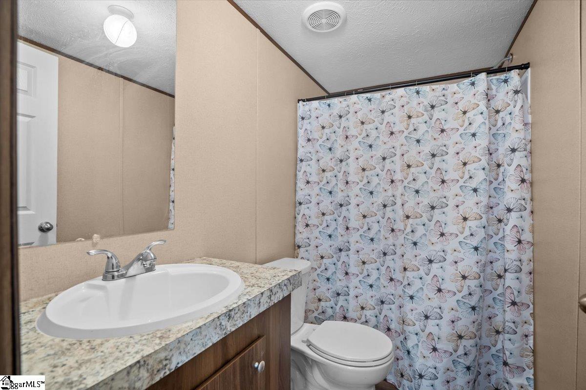 324 Cherokee Falls Road Blacksburg, SC 29702 - Photo 19 of 29