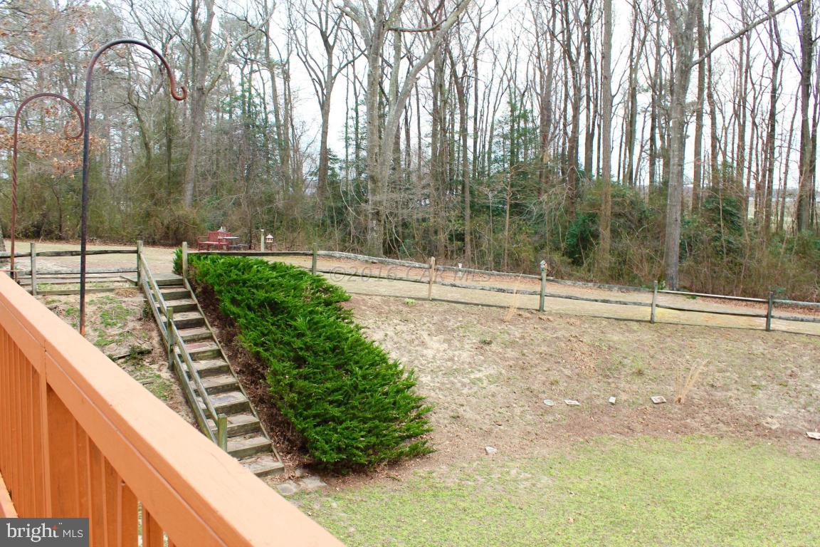 36029 Cobbs Hill Road Willards, MD 21874 - Photo 17 of 23