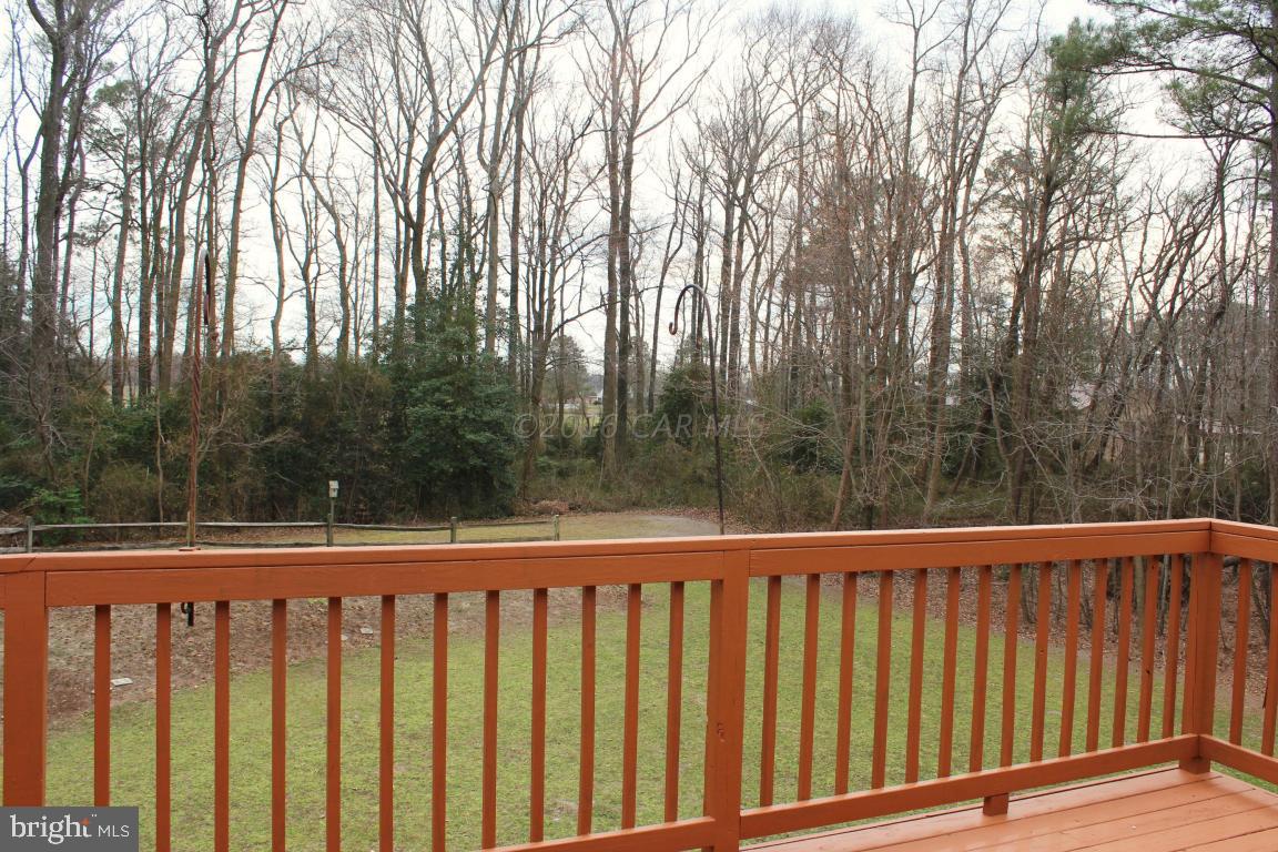36029 Cobbs Hill Road Willards, MD 21874 - Photo 18 of 23