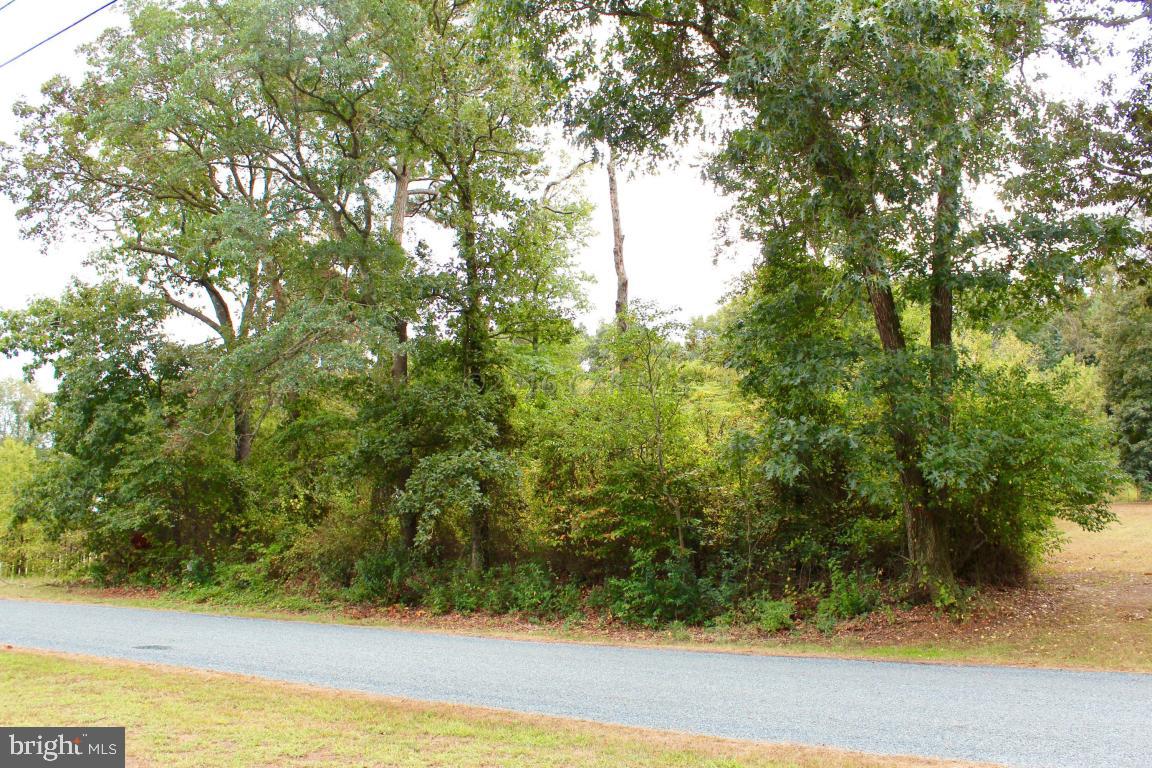 36029 Cobbs Hill Road Willards, MD 21874 - Photo 19 of 23