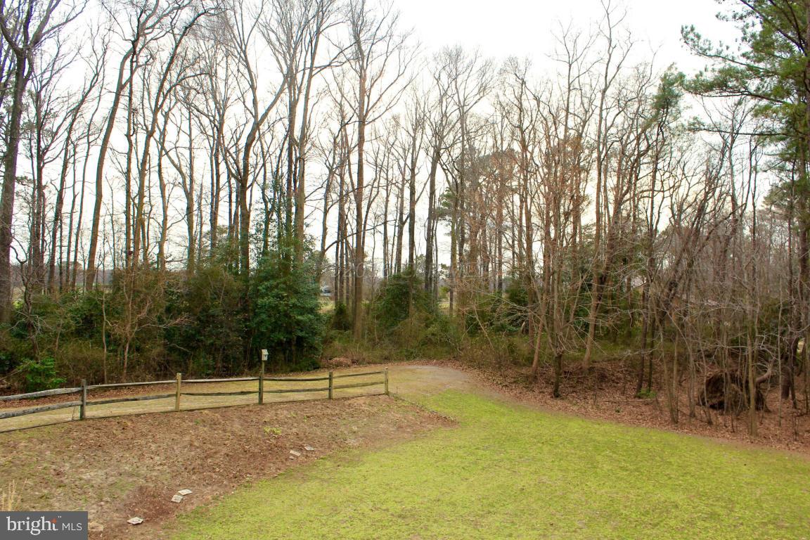 36029 Cobbs Hill Road Willards, MD 21874 - Photo 21 of 23