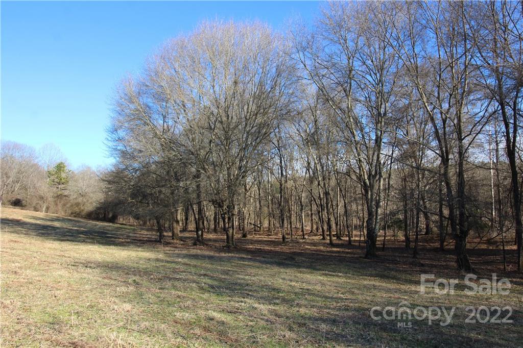 0 Red Road Shelby, NC 28152 - Photo 12 of 41 Gallery Image 12