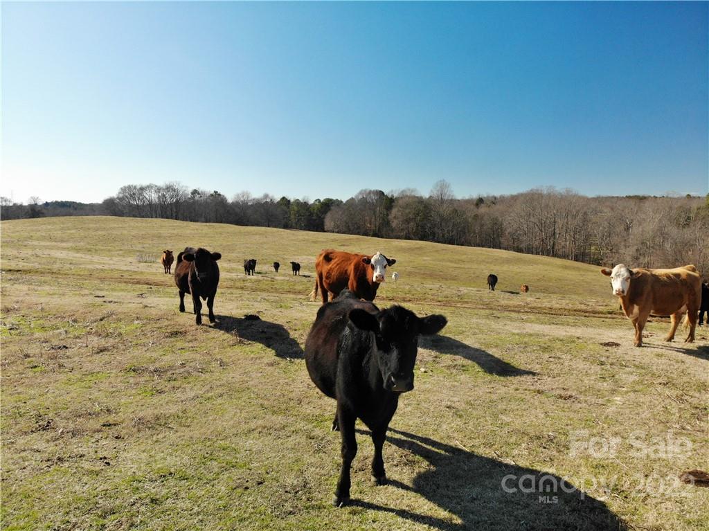 0 Red Road Shelby, NC 28152 - Photo 17 of 41 Gallery Image 17