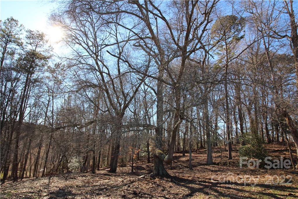 0 Red Road Shelby, NC 28152 - Photo 20 of 41 Gallery Image 20