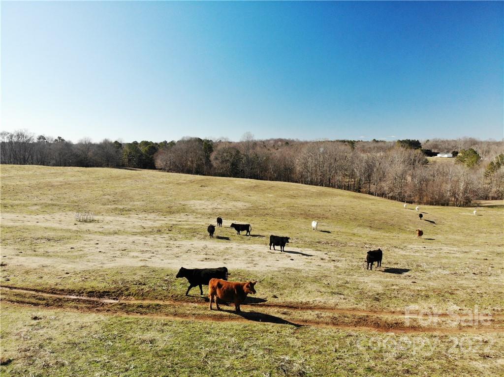 0 Red Road Shelby, NC 28152 - Photo 21 of 41 Gallery Image 21
