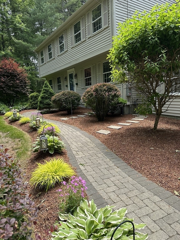 7 Carl Road Walpole, MA 02081 - Photo 3 of 40 Gallery Image 3