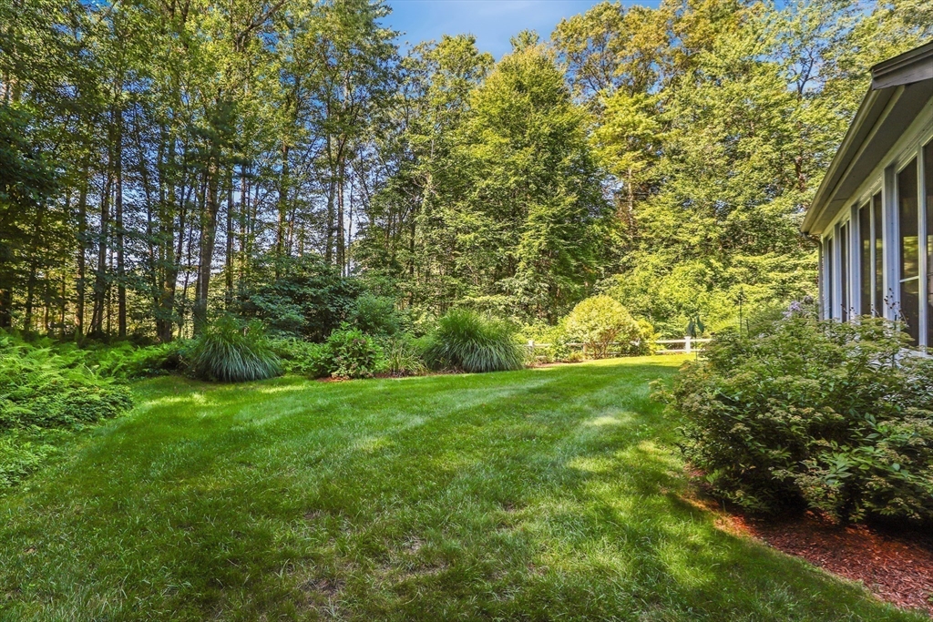 7 Carl Road Walpole, MA 02081 - Photo 33 of 40 Gallery Image 33
