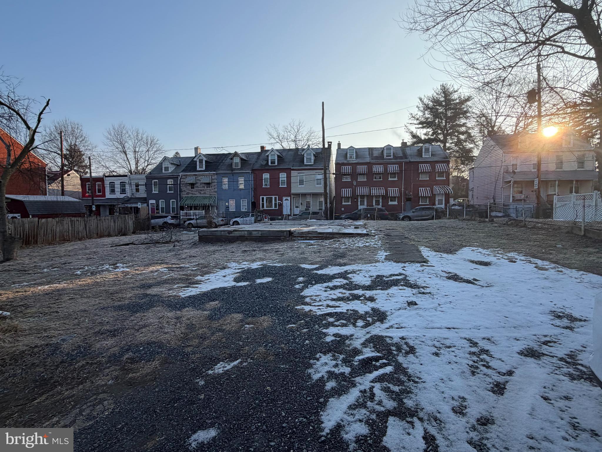 a view of a dry yard with a large tree