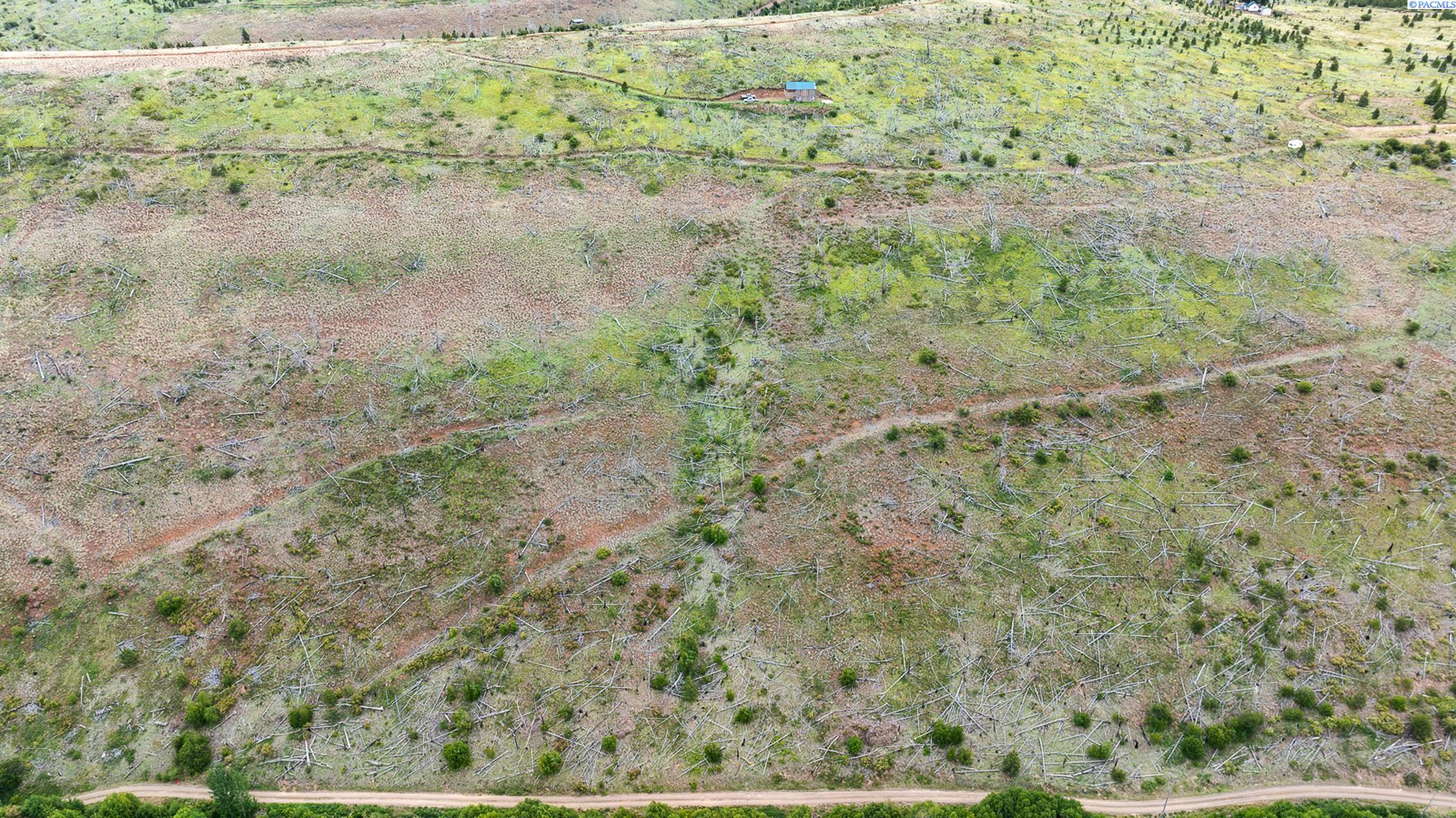 Nka Linville Ridge Road Pomeroy, WA 99347 - Photo 34 of 34 Gallery Image 34