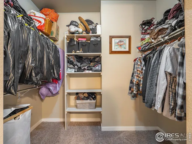 $450,000 | 3893 Sweetgum Street, Wellington, CO 80549